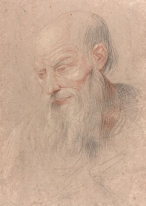 Etude de tÃªte d’homme barbu