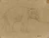 Etude d’éléphant marchant (19th century)