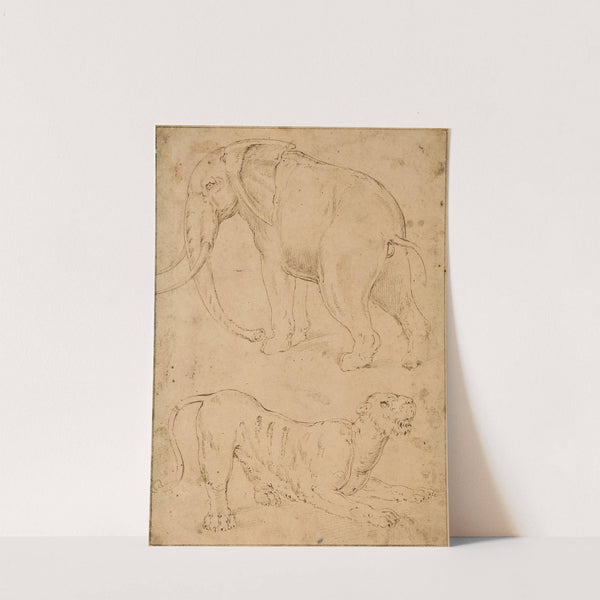 Étude d'un éléphant et d'une panthère by Giovanni-Battista Franco