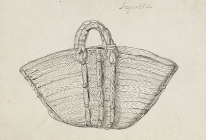 Etude d’un panier en osier