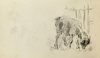 Etude d’une chÃ¨vre