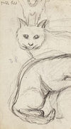 Etudes de chats