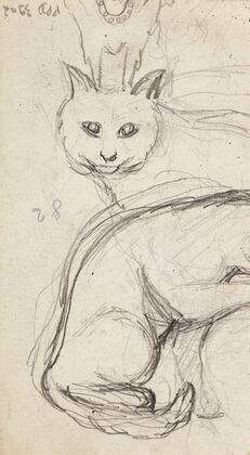 Etudes de chats