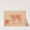 Études de vaches by Jacques-Raymond Brascassat