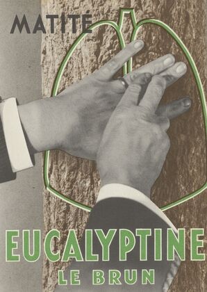 Eucalyptine Le Brun (1910-1950)