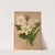 Eucharis Amazonica. (1872-1881) by Arentina Hendrica Arendsen