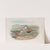 Eudromias morinellus. Dotterel. (1862-1873) by John Gould