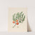 Eugenia or. Jambo [Eugenia albanensis] by Clemenz Heinrich Wehdemann