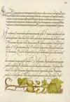 European Currant (1561–1596)