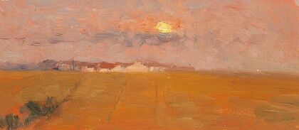 Evening Light
