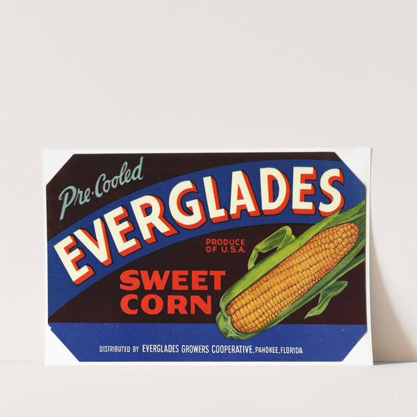 Everglades Brand Sweet Corn Label (1930-1950)