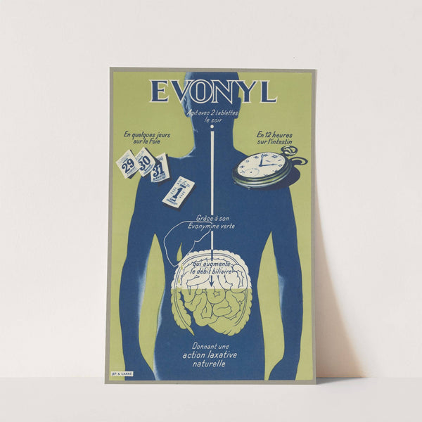 Evonyl (1910-1950) by Jep &amp; Carré