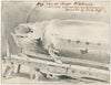 Expositie te Le Havre van aangespoelde walvis
