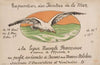 Exposition des peintres de la mer . . . á la Ligue Navale française . . . au profit des Comités de Secours aux Marins Mobilisés
