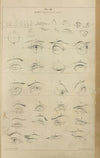 Eyes – action of the pupil