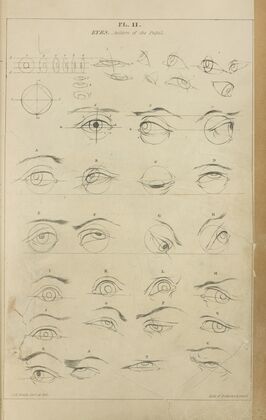 Eyes – action of the pupil