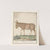 Ezel (Equus africanus asinus) Ezel. Asinus. âne. (1596-1610) by Anselmus Boëtius de Boodt