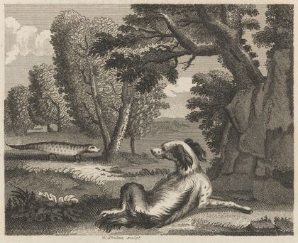 Fable II. The Spaniel and the Cameleon