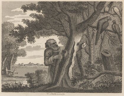 Fable XV. The Philosopher and the Pheasants