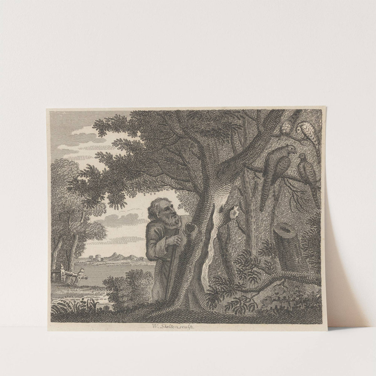 Fable XV. The Philosopher and the Pheasants by John Wootton