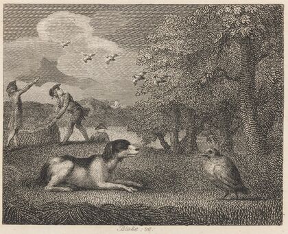 Fable XXX. The Setting-dog and the Partridge
