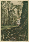 Fairies are all more or less in hiding until dusk