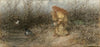 Fairytale (c. 1877)