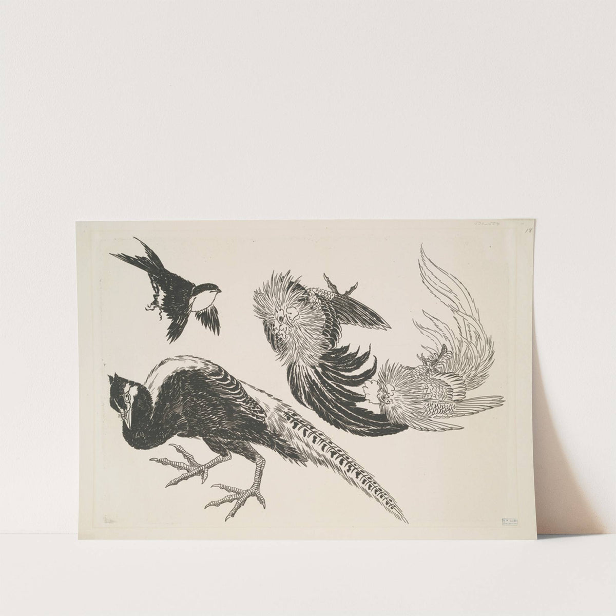 Faisans, oiseaux (1866) by Félix Bracquemond