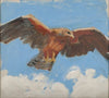 Falcon (1909‒1910)