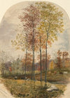 Fall Landscape