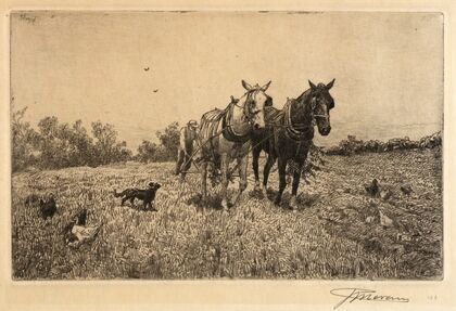 Fall Ploughing