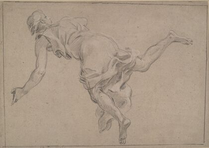 Falling Figure