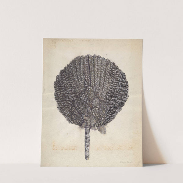 Fan by Edna C. Rex