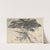 Fan Tree (1920) by Ernest Haskell
