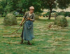 Faneuse ratissant (Raking tedder)