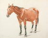 ‘Fanny’, July 26, 1886