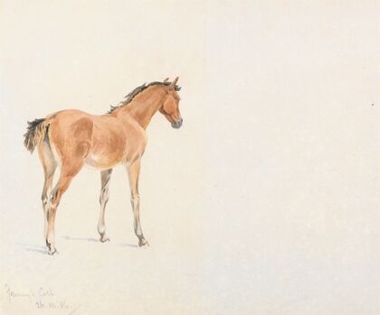 ‘Fanny’s Colt’, July 26, 1886