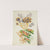 Fantastic flowers, from New Suite of Notebooks of Ideal Flowers for the Use of Designers and Painters by Anne Allen
