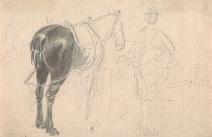 Farm horse being held by a stable lad