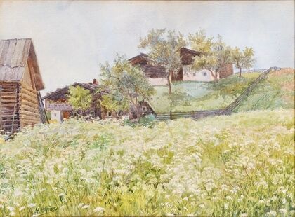 Farm houses, a white blooming field in front of it
