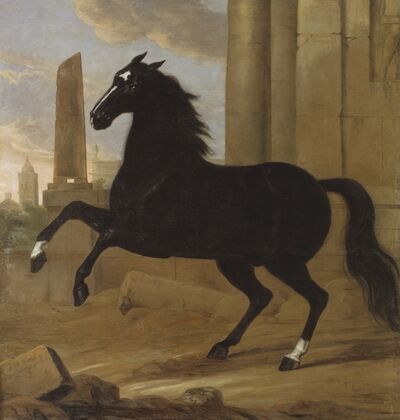 Favourite, one of King Karl XI’s riding horses