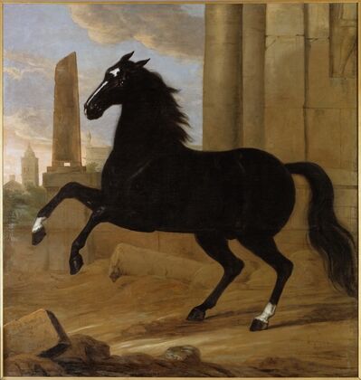 Favourite, one of King Karl XI’s riding horses (1689)