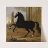 Favourite, one of King Karl XI’s riding horses (1689) by David Klöcker Ehrenstrahl