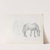 Female figure and horse (between 1865 and 1872) by Adolph Tidemand
