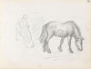 Female figure and horse (between 1865 and 1872)