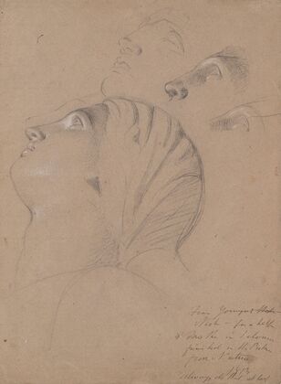 Female Head Study (Study for the Judgment of Solomon)