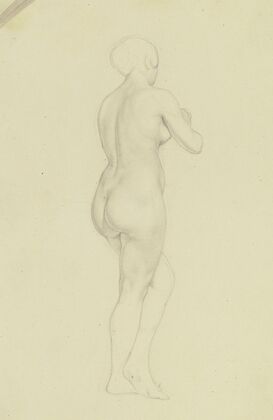 Female nude from behind