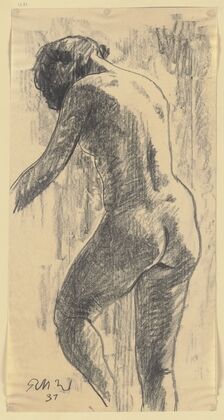 Female nude from behind