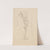 Femme nue debout de trois quarts vers la droite (1905-1907) by Amedeo Modigliani