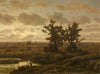 Fen in the Kempen